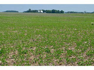 Property photo 12 - LAND AUCTION - 700+/- ACRES OFFERED IN 16 TRACTS IN ALLEN COUNTY, INDIANA